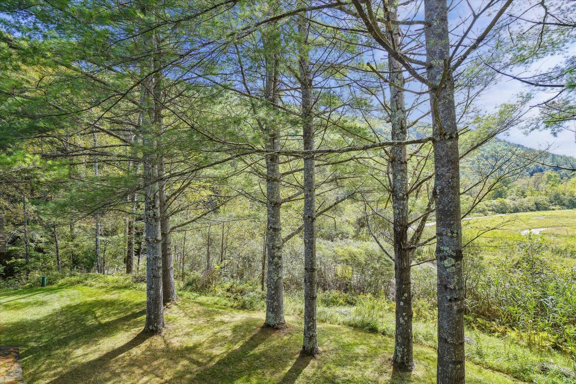 Cedarbrook Queen Suite 203 Killington Εξωτερικό φωτογραφία